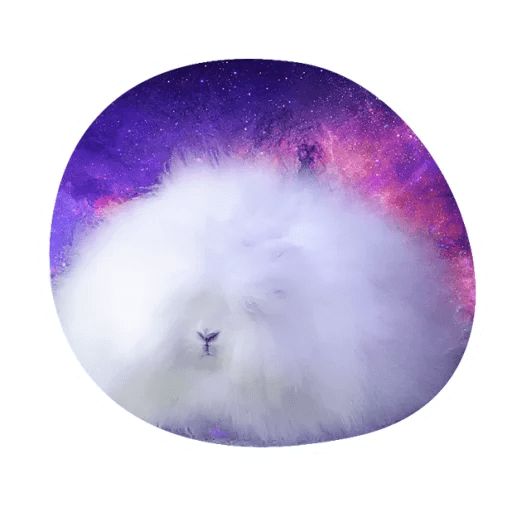 Sticker «Space Bunnies-1»