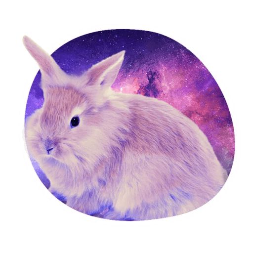 Sticker «Space Bunnies-10»