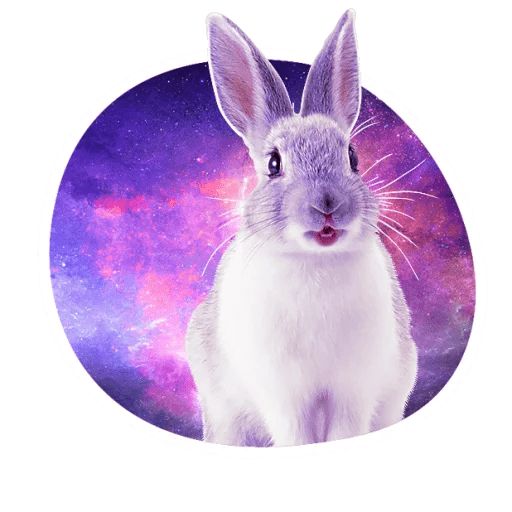 Sticker «Space Bunnies-12»