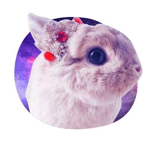 Sticker «Space Bunnies-3»