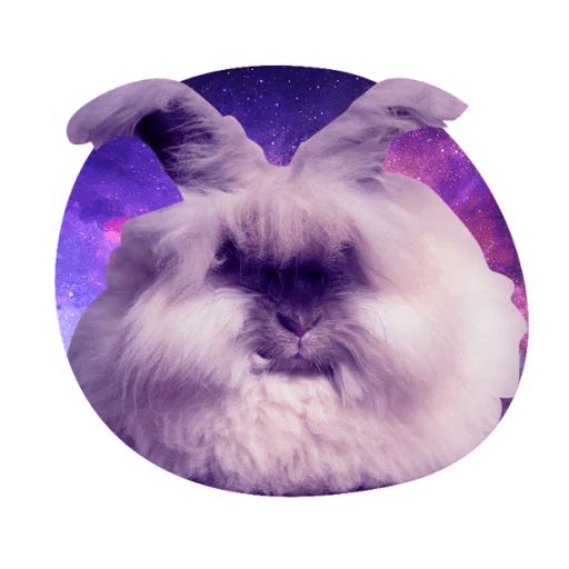 Sticker «Space Bunnies-4»