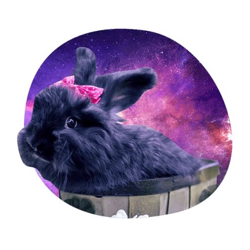Sticker «Space Bunnies-6»