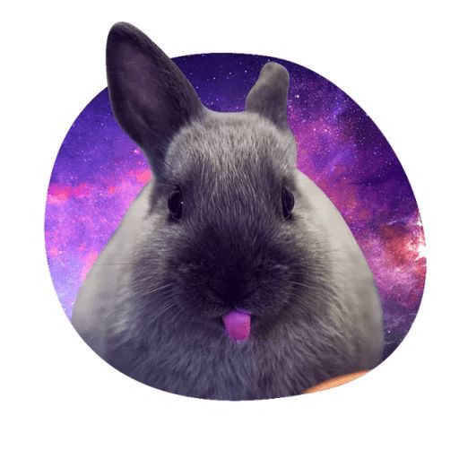 Sticker «Space Bunnies-7»