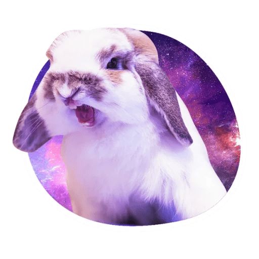 Sticker «Space Bunnies-9»