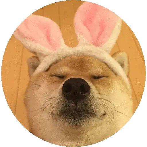 Sticker «Shiba-11»
