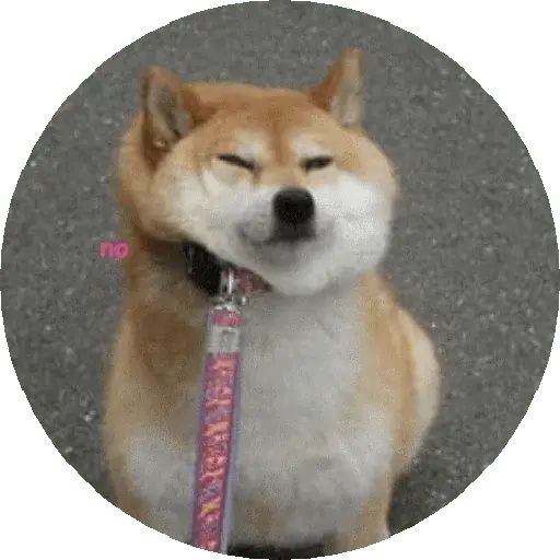 Sticker «Shiba-2»