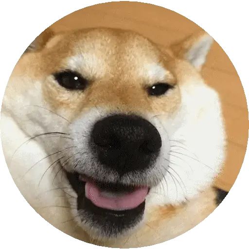 Sticker «Shiba-3»