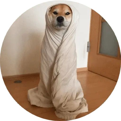 Sticker «Shiba-4»