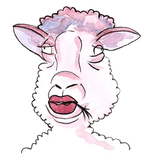 Sticker «Sheep-7»