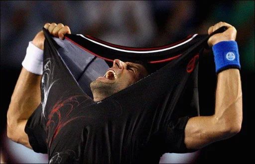 Sticker «Novak Djokovic-11»