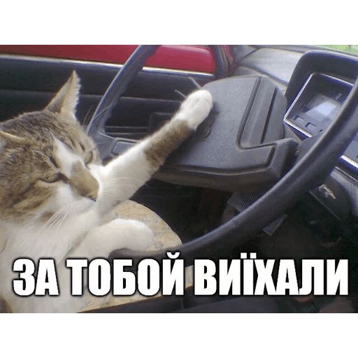 Стикер «Коты-Украинцы-7»