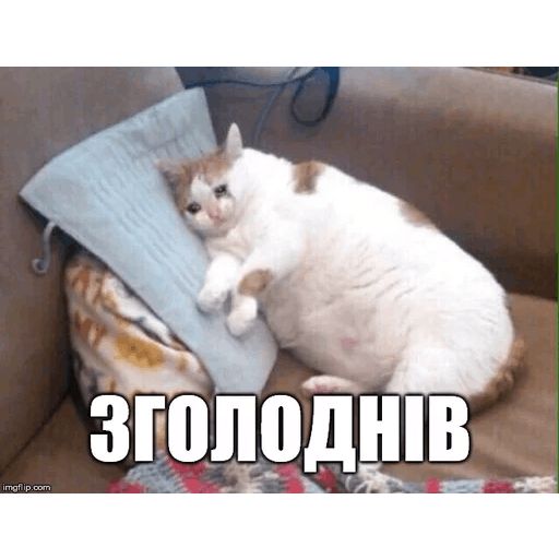 Стикер «Коты-Украинцы-8»