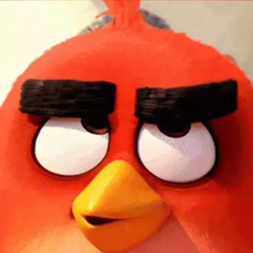 Sticker «Angry Birds-3»