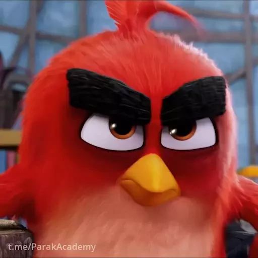 Sticker «Angry Birds-9»