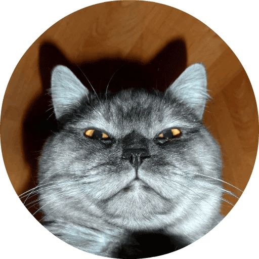 Sticker «Cats by Smol (2)-1»