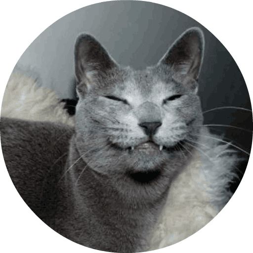 Sticker «Cats by Smol (2)-2»