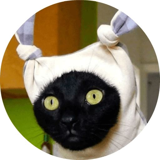 Sticker «Cats by Smol (2)-3»