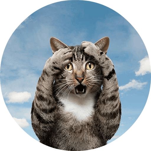 Sticker «Cats by Smol (2)-4»