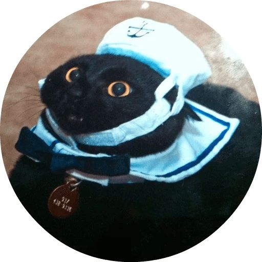 Sticker «Cats by Smol (2)-8»