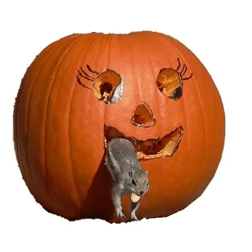 Sticker «Halloween-9»
