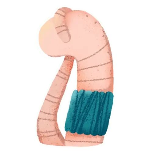 Sticker «Rain Worm-4»
