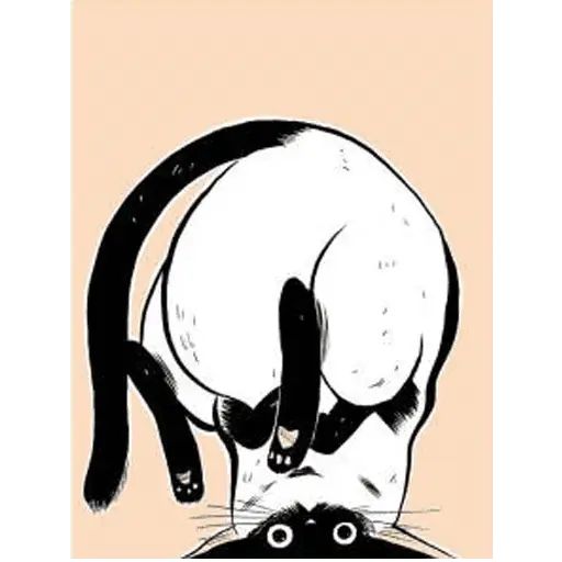 Sticker «Cats-6»