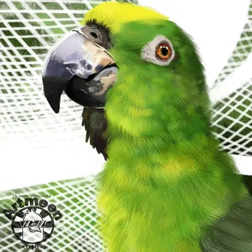 Sticker «Parrots and other birds-1»