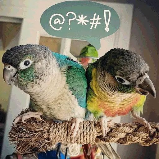 Sticker «Parrots and other birds-5»