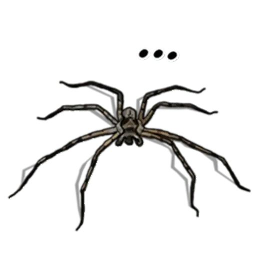 Sticker «Spiders Time-1»
