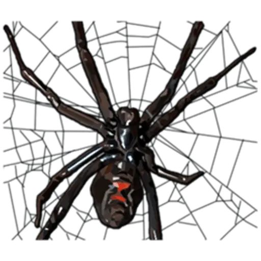 Sticker «Spiders Time-10»