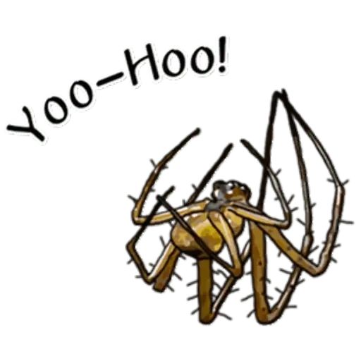 Sticker «Spiders Time-12»