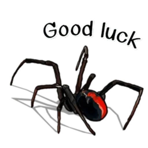 Sticker «Spiders Time-2»
