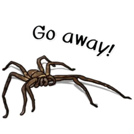 Sticker «Spiders Time-3»