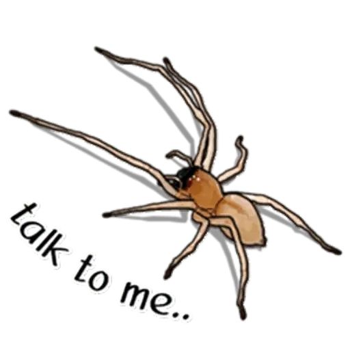 Sticker «Spiders Time-5»