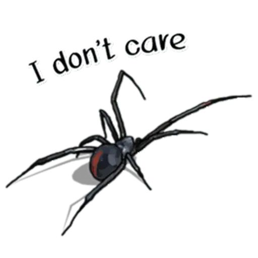 Sticker «Spiders Time-6»