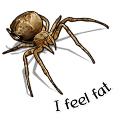 Sticker «Spiders Time-7»