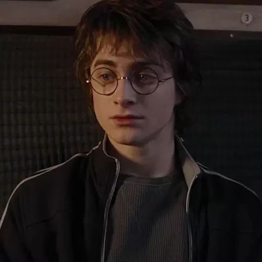 Sticker «Garry Potter 4-11»