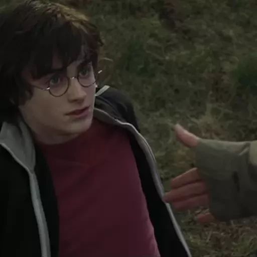 Sticker «Garry Potter 4-4»