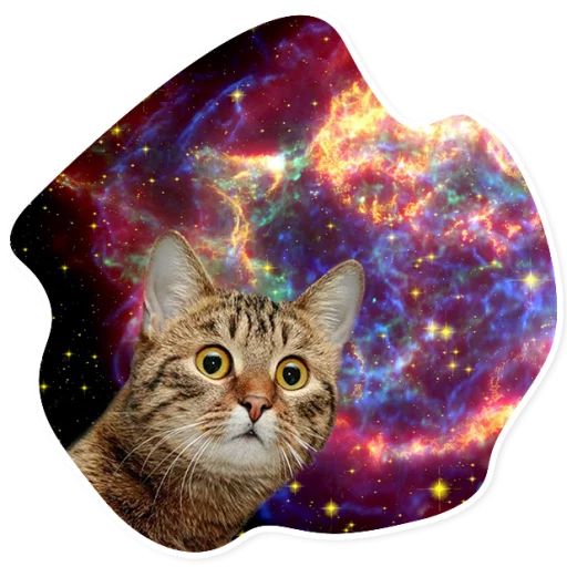Sticker «Space Cats-1»