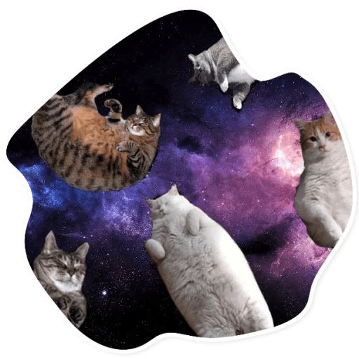 Sticker «Space Cats-10»