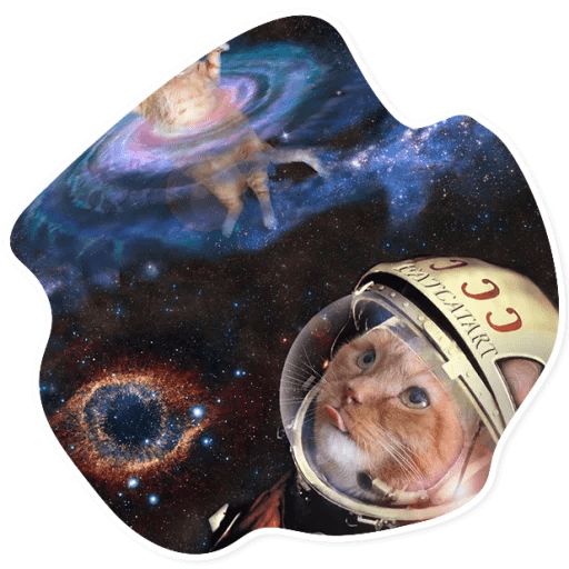 Sticker «Space Cats-11»