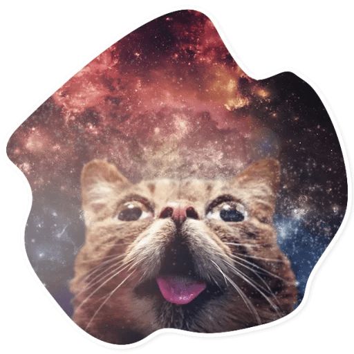 Sticker «Space Cats-12»