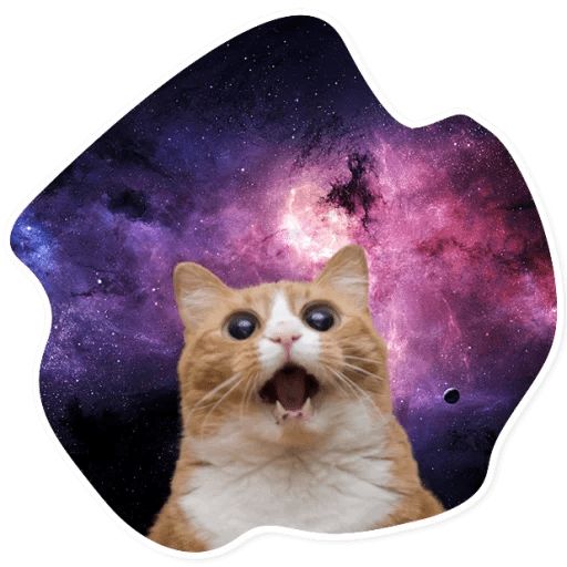 Sticker «Space Cats-5»