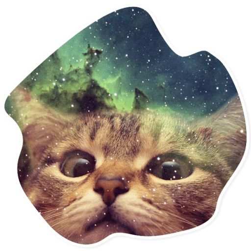 Sticker «Space Cats-6»