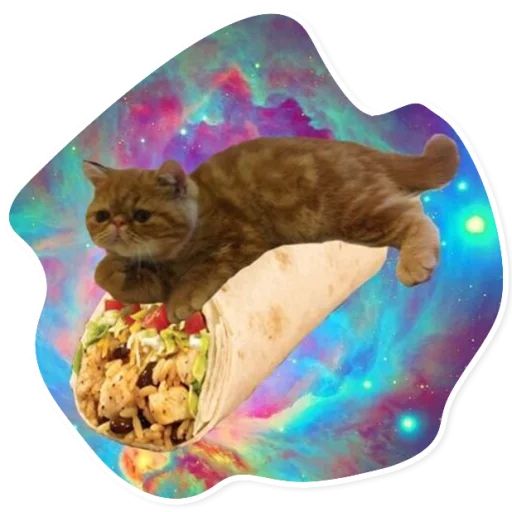 Sticker «Space Cats-8»