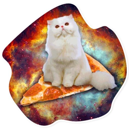 Sticker «Space Cats-9»