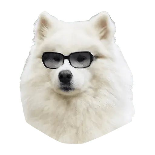 Sticker «Samoyed Dog-1»