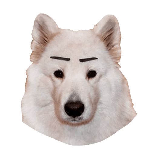 Sticker «Samoyed Dog-5»