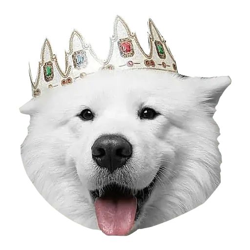 Sticker «Samoyed Dog-6»