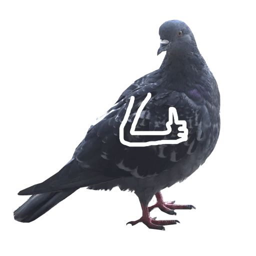 Sticker «Pigeon With Hands-10»